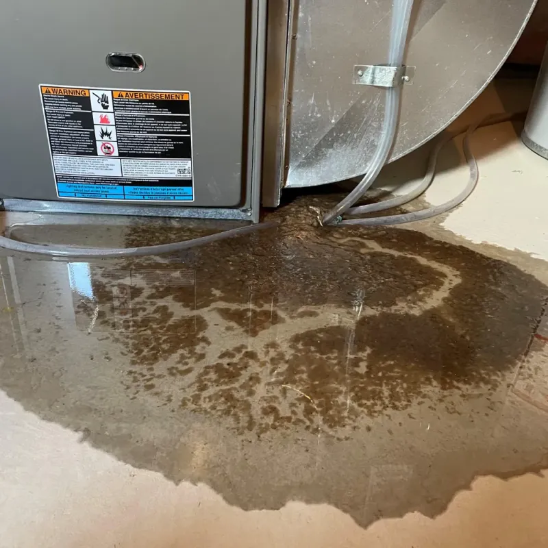 Appliance Leak Cleanup in Sarita, TX