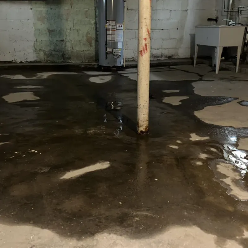 Emergency Water Extraction And Removal in Sarita, TX